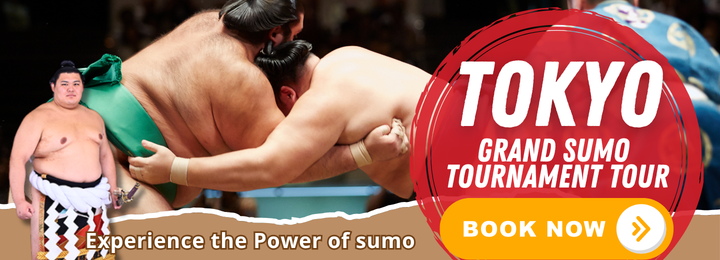 Sumo Tours banners