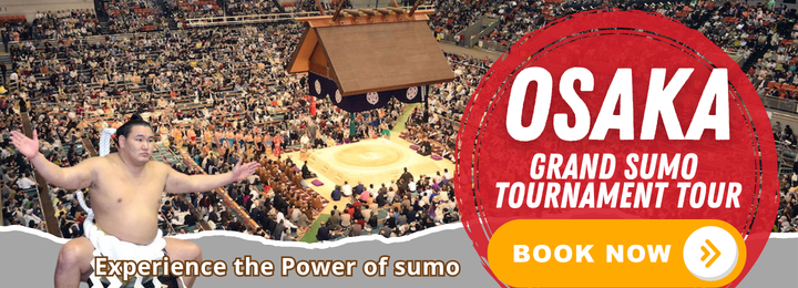 Sumo Tours banners 1